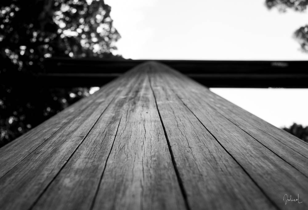 Not just a plank of wood, Meiji Jingu, Tokyo, Japan