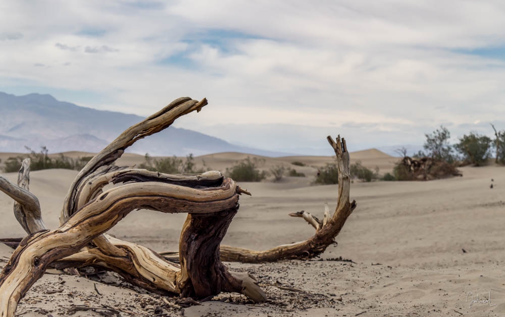 Where is the skull, Death Valley, USA