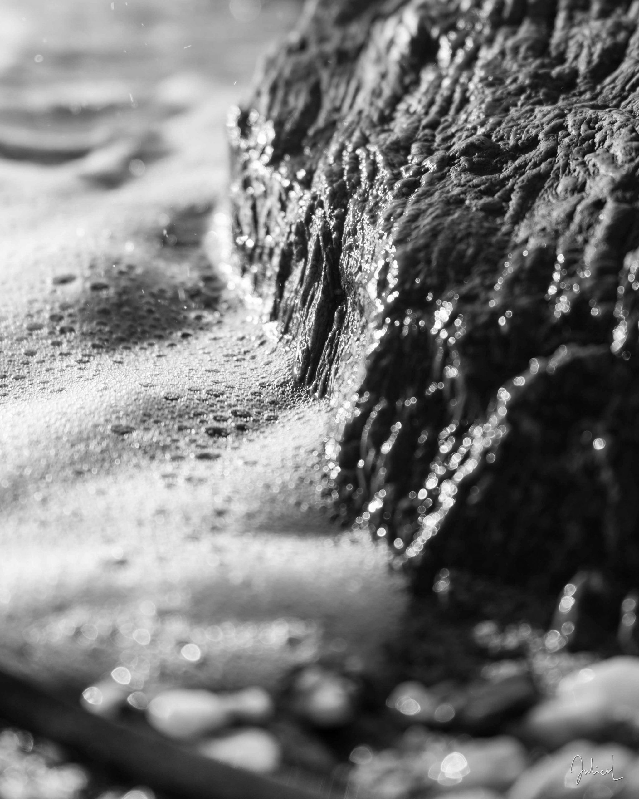 It's a small world, Presqu'île de Giens, France