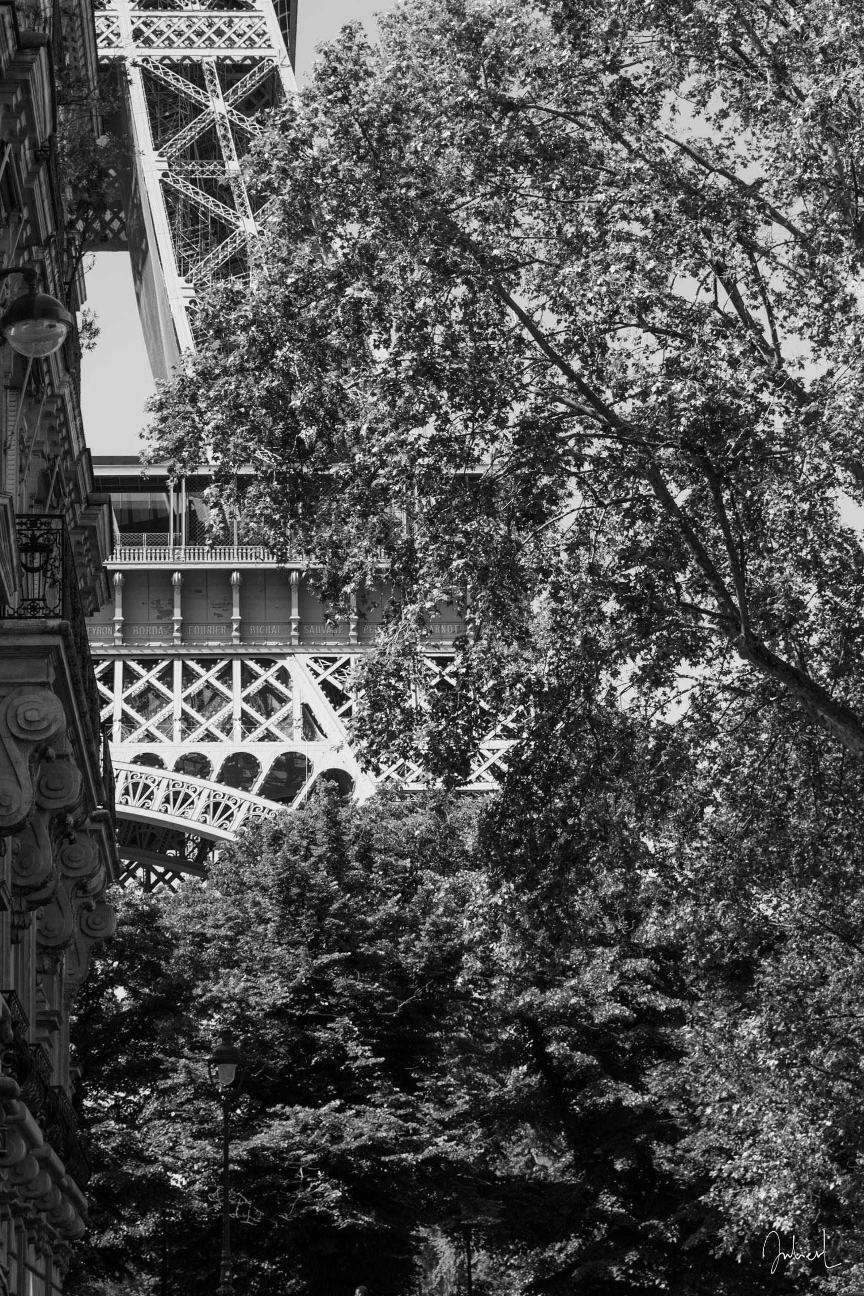 Hiding through the trees, I don't name her, Paris, France