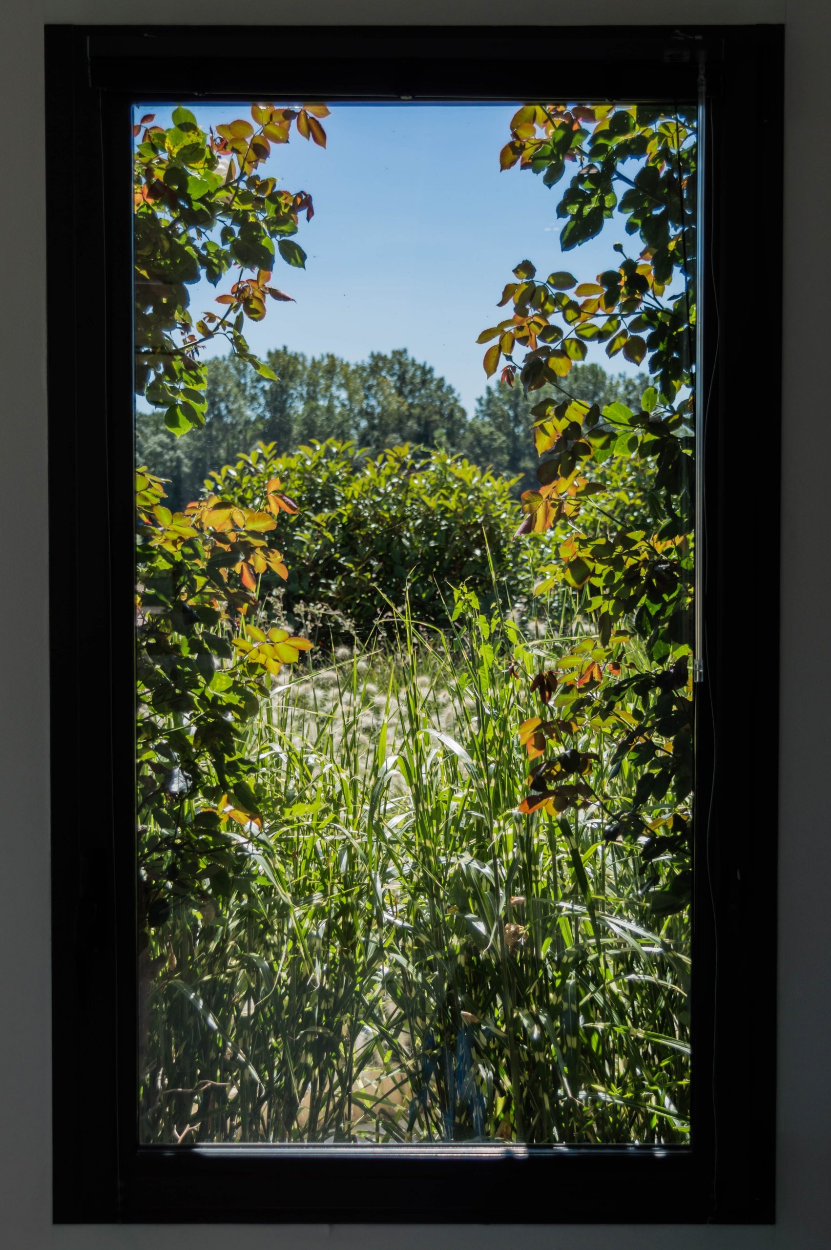 A window to a greener future, La chapelle St Florent, France
