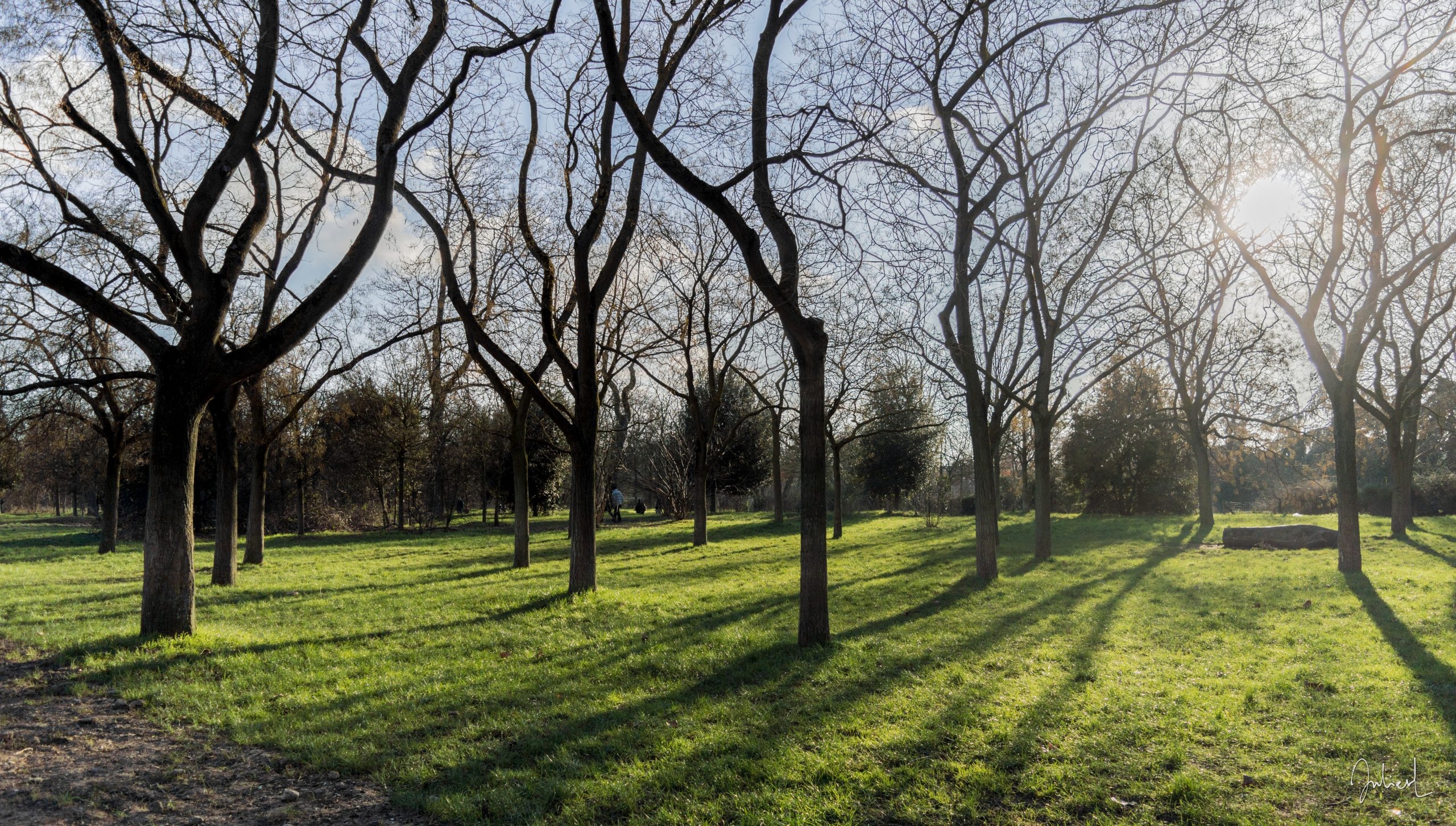 Into Tim Burton's world, Bois de Vincennes, Paris, France